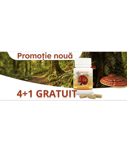 Pachet Promoțional - Ganoderma Capsule